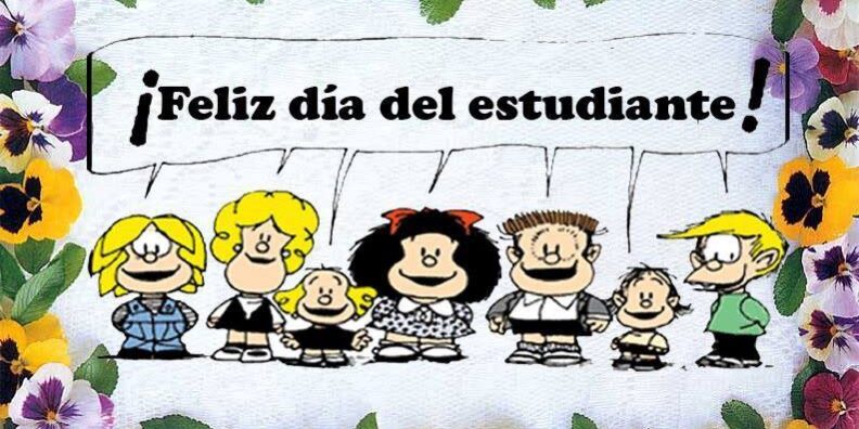 noticias24