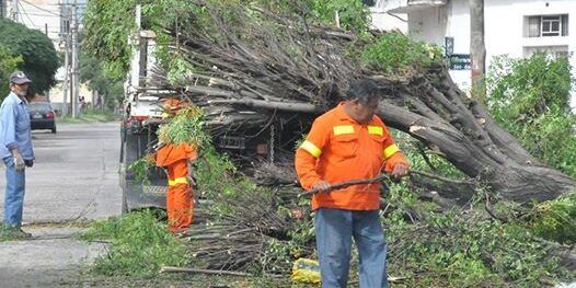noticias_1416661640